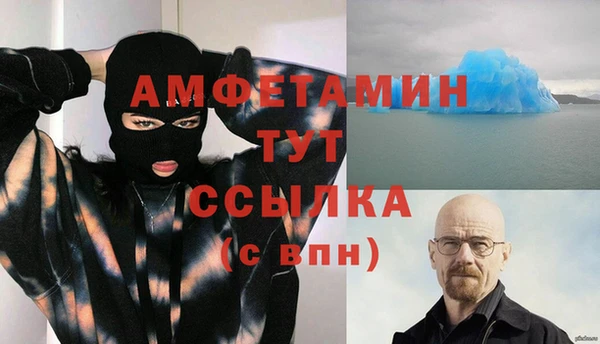 дживик Мегион