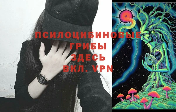 ECSTASY Кулебаки
