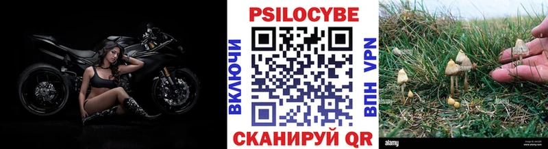 Галлюциногенные грибы Psilocybine cubensis  Тарко-Сале 